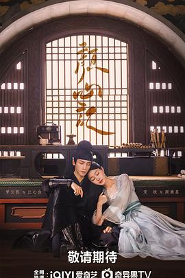 福建网站优化厦门服务